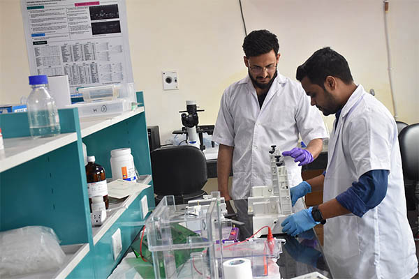 Food Available With Good Hygiene